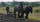 Het Werkend Trekpaard Zeeland | © JosWaS